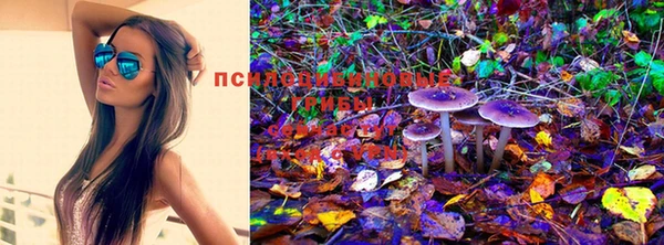 экстази Белокуриха