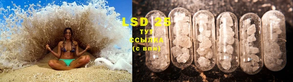 PSILOCYBIN Балахна