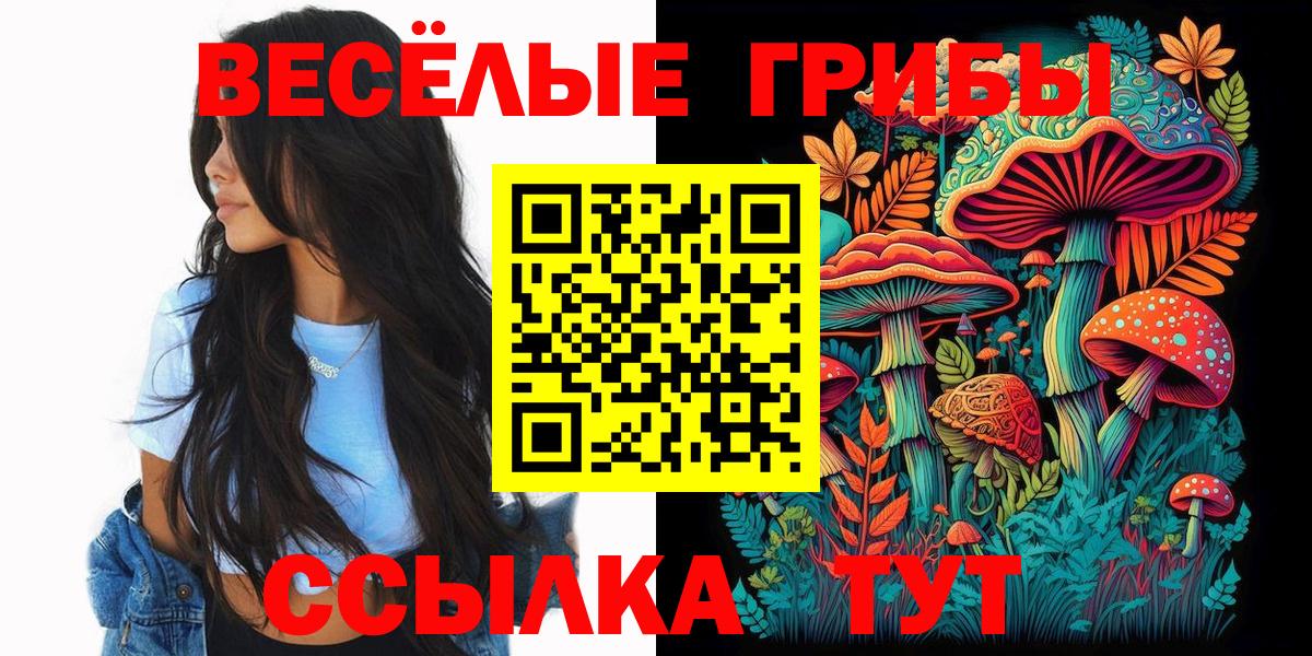 Улан-Удэ  Псилоцибиновые грибы Psilocybine cubensis  Вход с VPN 